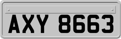 AXY8663