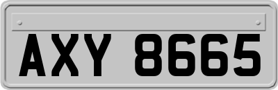 AXY8665