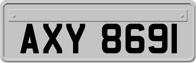 AXY8691