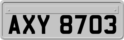 AXY8703
