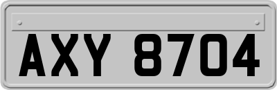 AXY8704
