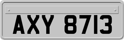 AXY8713
