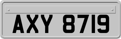 AXY8719