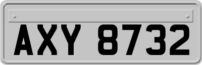AXY8732
