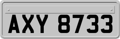 AXY8733