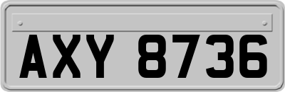 AXY8736