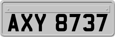 AXY8737