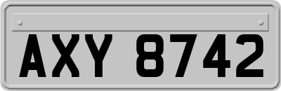 AXY8742