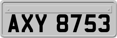 AXY8753