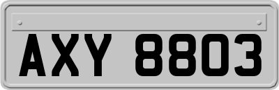 AXY8803