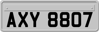 AXY8807