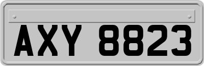AXY8823