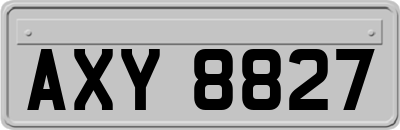 AXY8827