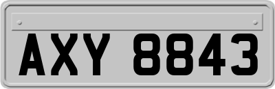 AXY8843
