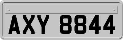 AXY8844