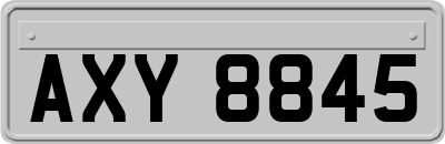 AXY8845