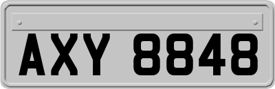 AXY8848