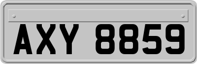 AXY8859