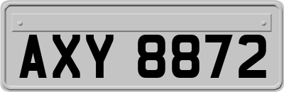 AXY8872