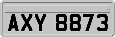AXY8873