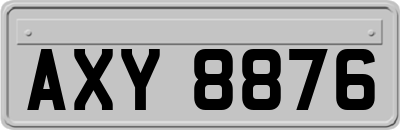 AXY8876
