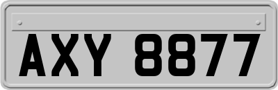 AXY8877
