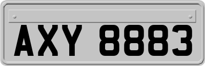 AXY8883