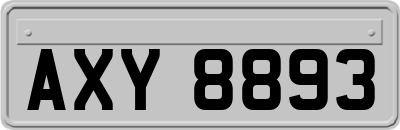 AXY8893