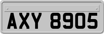 AXY8905