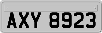 AXY8923