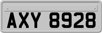 AXY8928