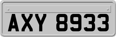 AXY8933