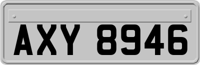 AXY8946