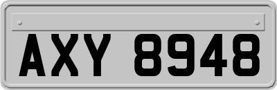 AXY8948