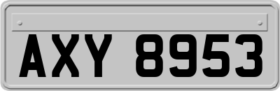 AXY8953