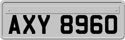 AXY8960