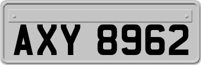 AXY8962