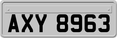 AXY8963
