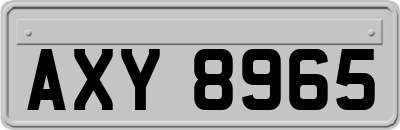 AXY8965
