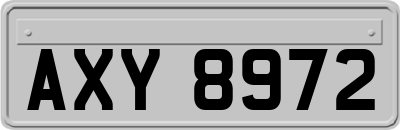 AXY8972
