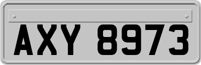 AXY8973