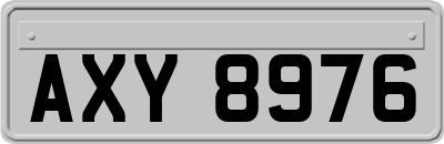 AXY8976