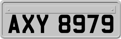 AXY8979