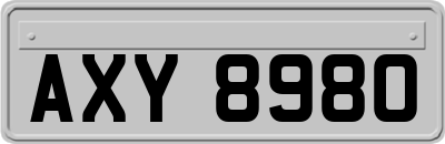 AXY8980