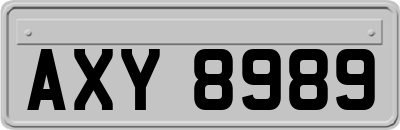 AXY8989