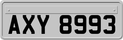 AXY8993