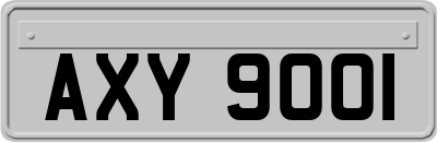 AXY9001