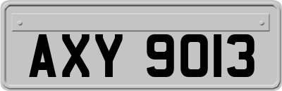 AXY9013