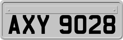 AXY9028