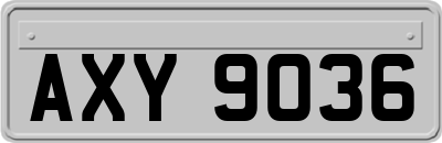 AXY9036